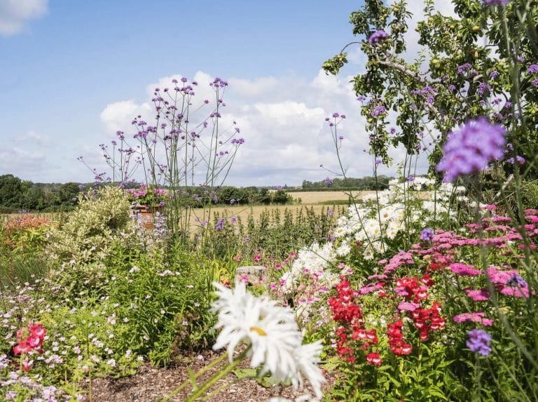 Country Lodge Luxury Garden Rooms view