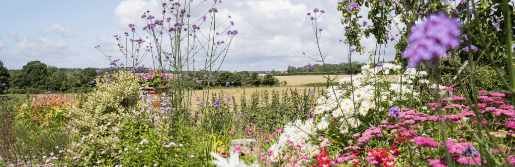 South Downs View at Country Lodge Nursing Home
